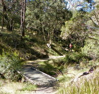 Wollomombi walking track - New South Wales Tourism 