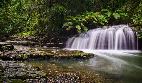 Rocky Crossing Walk - New South Wales Tourism  0