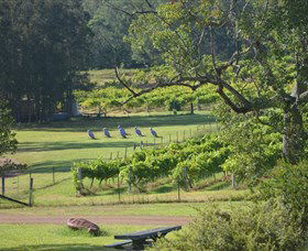 Wollombi Wines - New South Wales Tourism  8