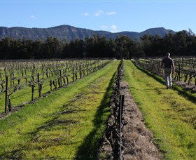 Around Hermitage Wine And Food Trail Hunter Valley - New South Wales Tourism  1