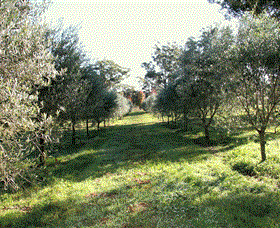 Langdale Farm - New South Wales Tourism  0