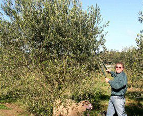 Langdale Farm - New South Wales Tourism  3