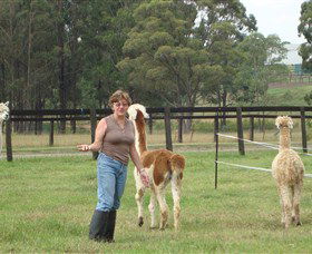 Langdale Farm - New South Wales Tourism  4