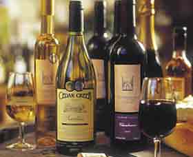 Stonehurst Cedar Creek Vineyard - New South Wales Tourism  1