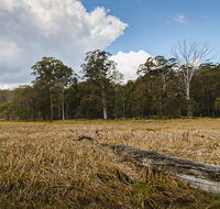 Mummel Gulf National Park - New South Wales Tourism 