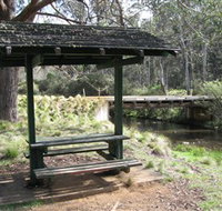 Barrington Tops State Forest - New South Wales Tourism 