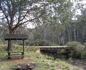 Barrington Tops State Forest - New South Wales Tourism  1