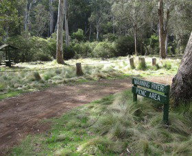 Barrington Tops State Forest - New South Wales Tourism  3