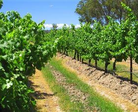 Misty Glen Wines And Cottage - New South Wales Tourism  1