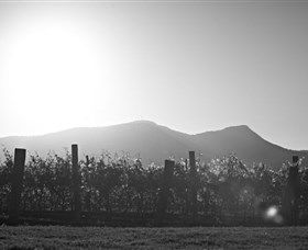 Scarborough Wine Co. - New South Wales Tourism  1