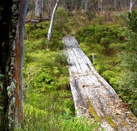 Gloucester Tops circuit - New South Wales Tourism 