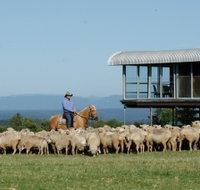 Tobruk Sydney - New South Wales Tourism 