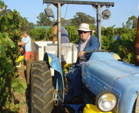 Pokolbin Brothers Wines Hunter Valley - New South Wales Tourism  1