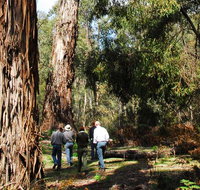 Tallaganda National Park - New South Wales Tourism 
