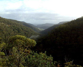 Nattai Gorge Lookout - New South Wales Tourism  0