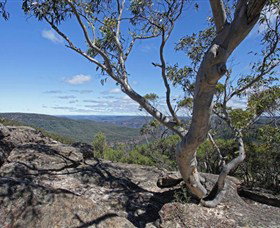 Nattai Gorge Lookout - New South Wales Tourism  1