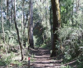 Box Vale Mine Walking Track And Lookout - New South Wales Tourism  0