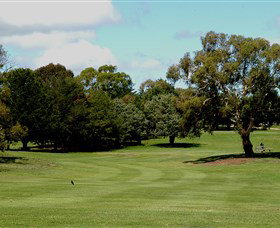 Cooma Golf Club - New South Wales Tourism  1