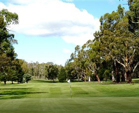 Cooma Golf Club - New South Wales Tourism  0
