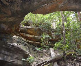 Cave Creek Walking Track - New South Wales Tourism  0