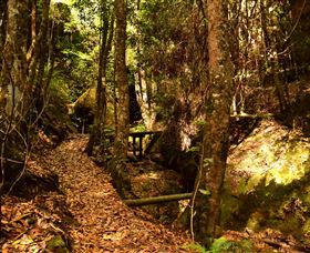 Cave Creek Walking Track - New South Wales Tourism  2