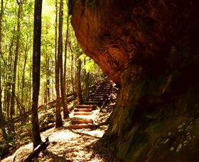 Cave Creek Walking Track - New South Wales Tourism  1