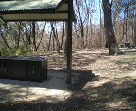 Cave Creek Walking Track - New South Wales Tourism  4