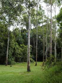 Pioneer Country Park - New South Wales Tourism  1