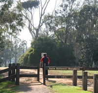 Sale Botanic Gardens - New South Wales Tourism 