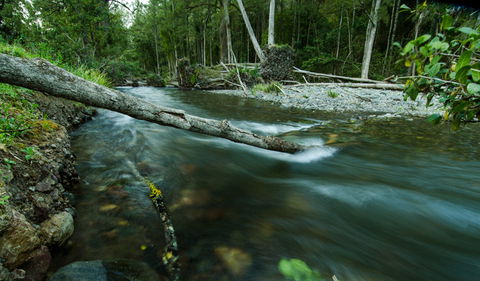Woko National Park - New South Wales Tourism  3
