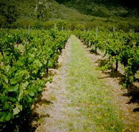 Gartelmann Wines - New South Wales Tourism 