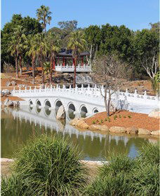 Chang Lai Yuan Chinese Gardens - New South Wales Tourism  1