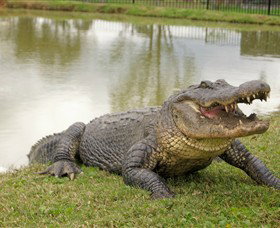 Hunter Valley Zoo - New South Wales Tourism  1