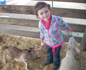 Hunter Valley Zoo - New South Wales Tourism  4