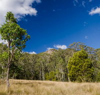 Brush Turkey track - New South Wales Tourism 