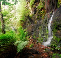 Fairy Bower Falls - New South Wales Tourism 