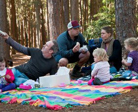 State Forests Of The Watagan Mountains - New South Wales Tourism  0