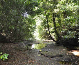State Forests Of The Watagan Mountains - New South Wales Tourism  1