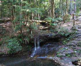 State Forests Of The Watagan Mountains - New South Wales Tourism  3