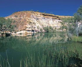 Ellendale Pool - New South Wales Tourism  0