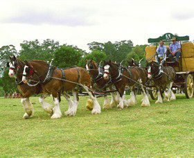 Belgenny Farm - New South Wales Tourism  2