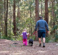 Olney State Forest - Watagan Mountains - New South Wales Tourism 