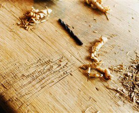 Sally Beresford Antiques/French Farmhouse Tables - New South Wales Tourism  2