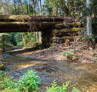 Myrtle Scrub scenic drive - New South Wales Tourism 
