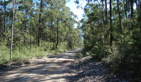 Werakata National Park - New South Wales Tourism  2