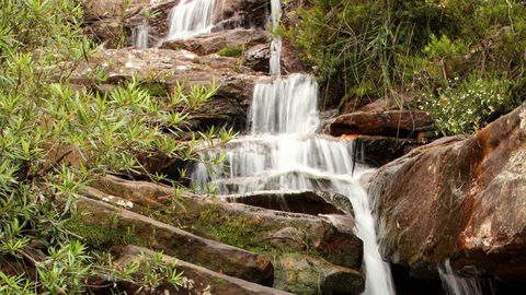 Popran National Park - New South Wales Tourism  1
