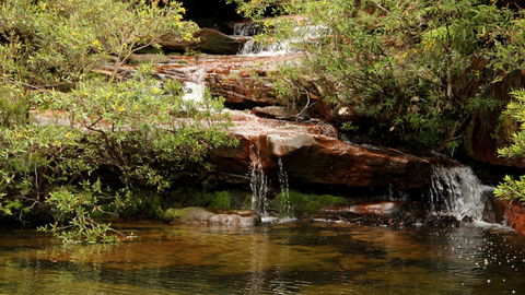Popran National Park - New South Wales Tourism  2