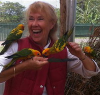 Maleny Botanic Gardens  Bird World - New South Wales Tourism 