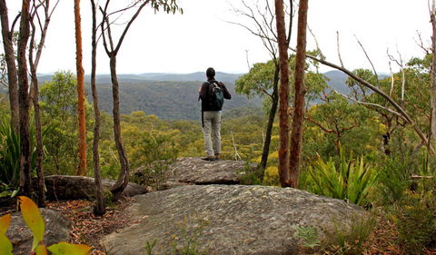 Mount Olive Lookout - New South Wales Tourism  1