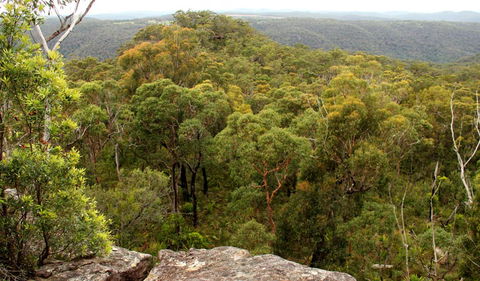 Mount Olive Lookout - New South Wales Tourism  0